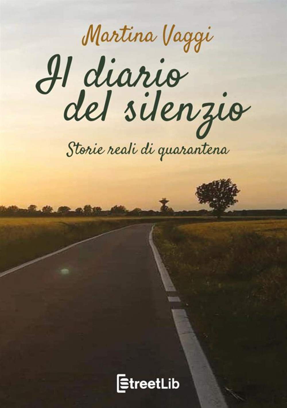 Il diario del silenzio: Storie reali di quarantena book