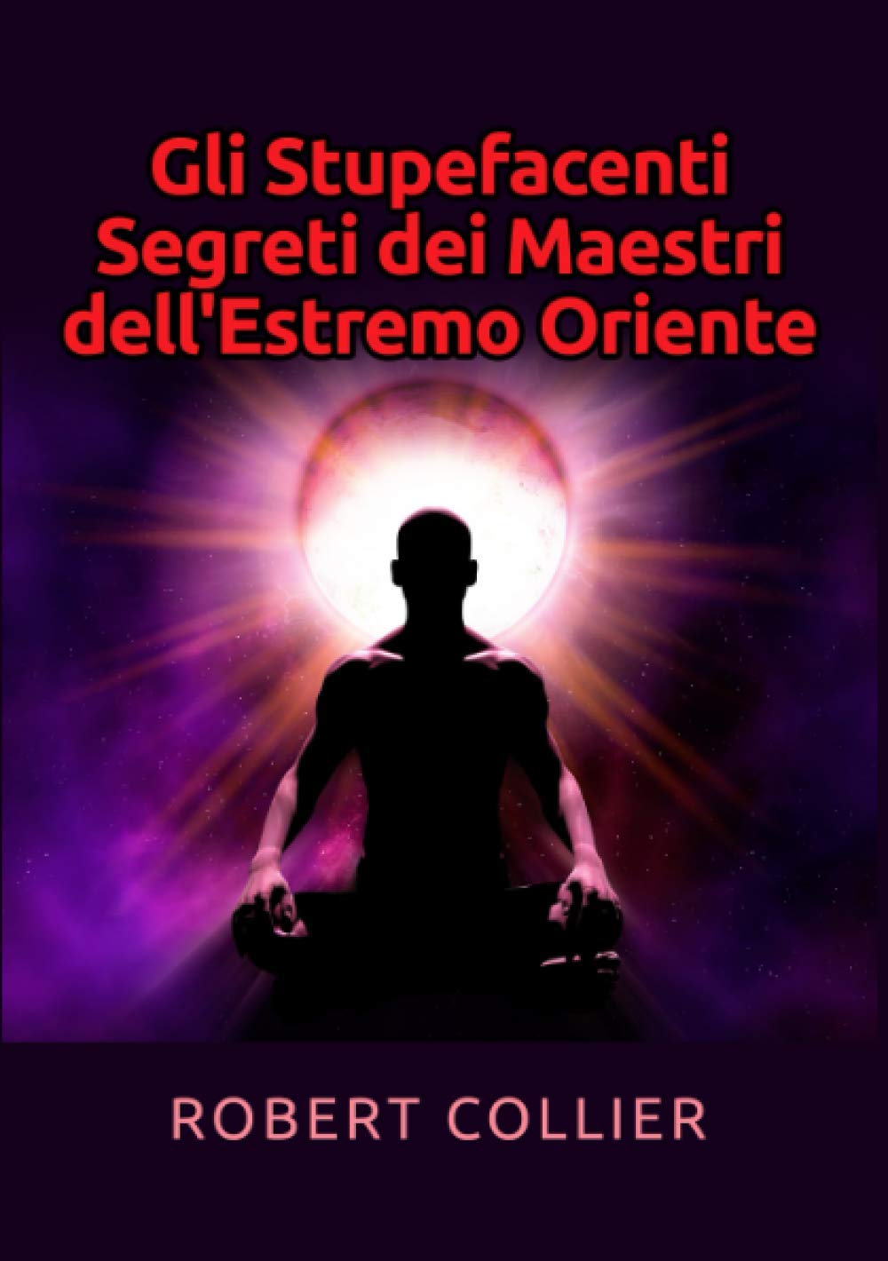 Gli Stupefacenti Segreti dei Maestri dell'estremo Oriente book