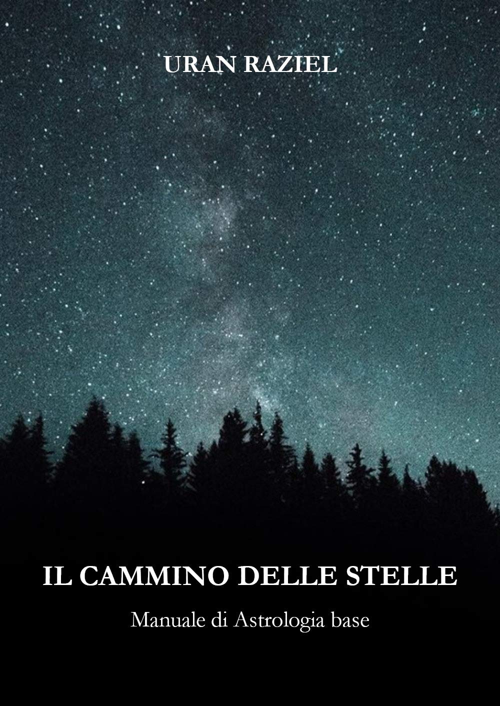 Il cammino delle stelle book