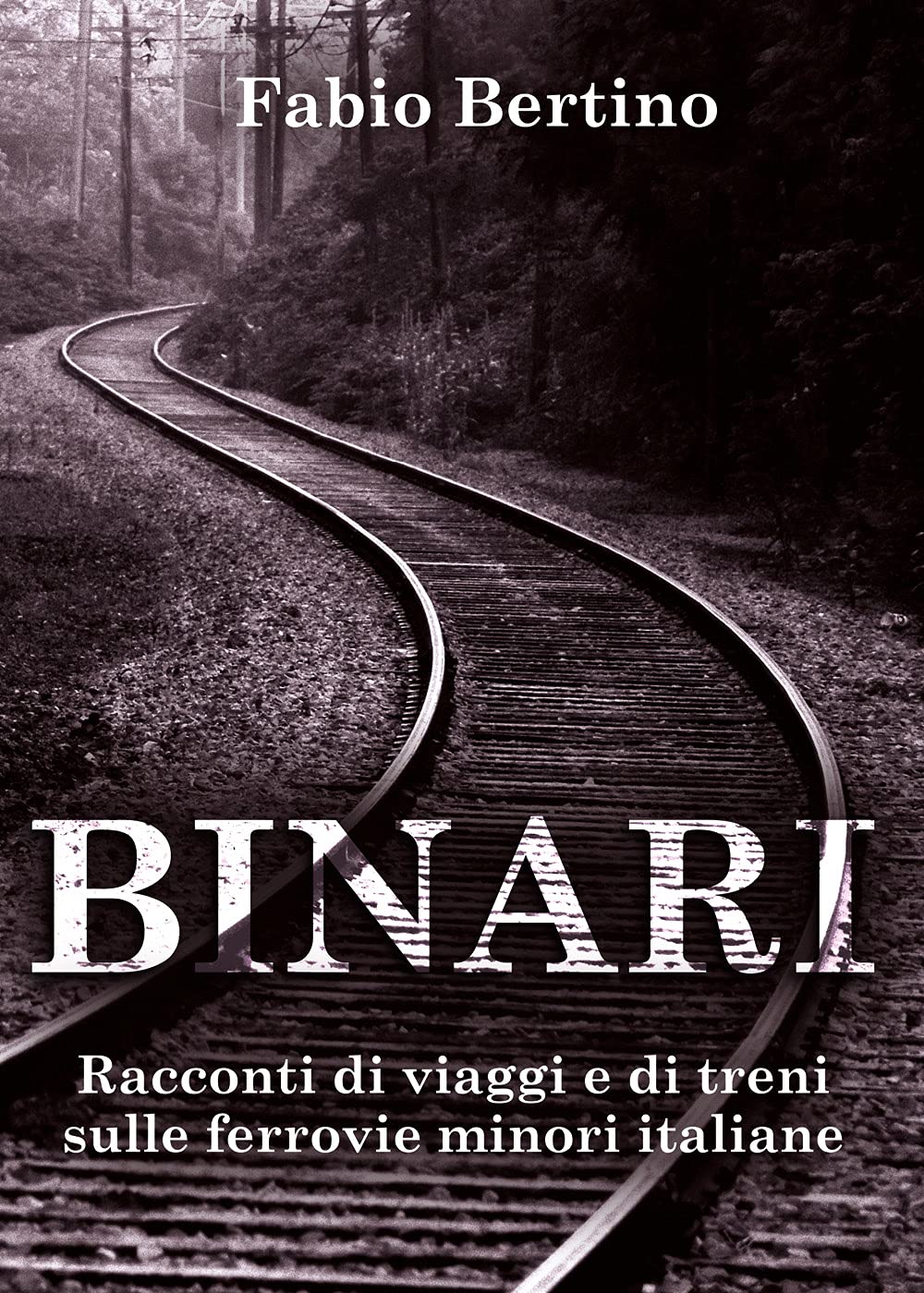 Binari. Racconti di viaggi e di treni sulle ferrovie minori italiane. book