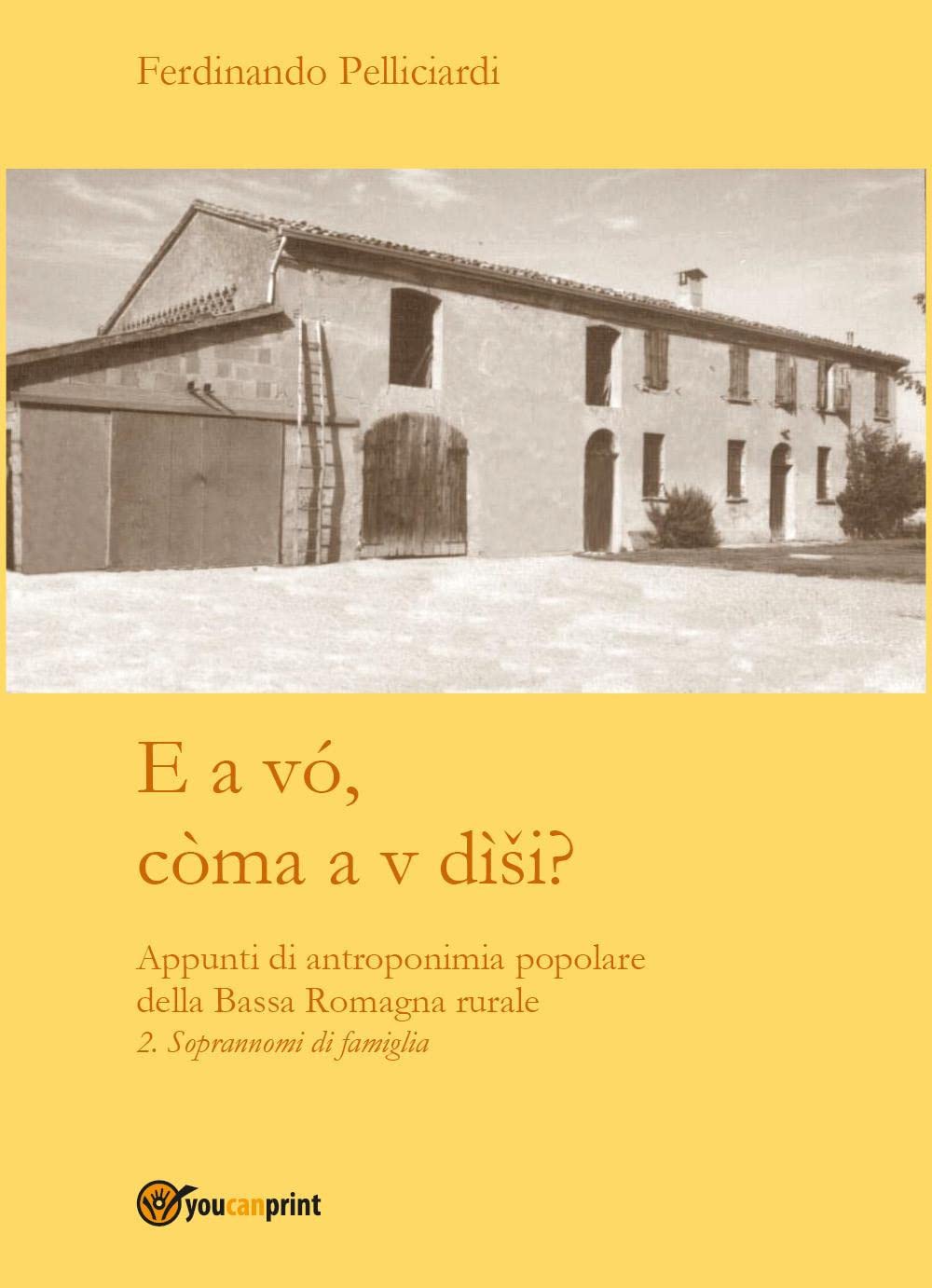 E a vó, còma a v dìsi? Appunti di antroponimia popolare della Bassa Romagna rurale. Soprannomi di famiglia (Vol. 2) book