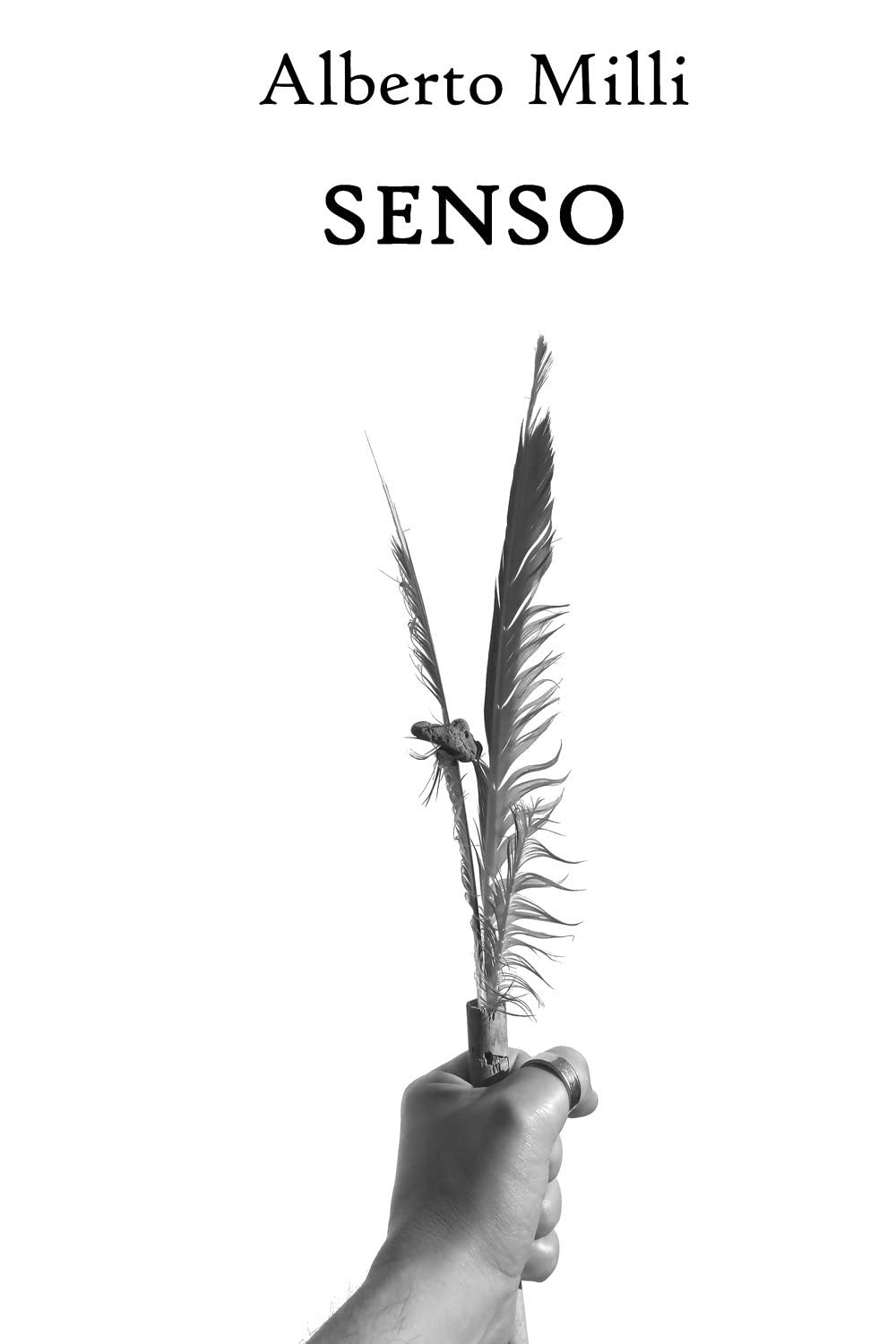 Senso. Poesie 2020-2022 Poetry