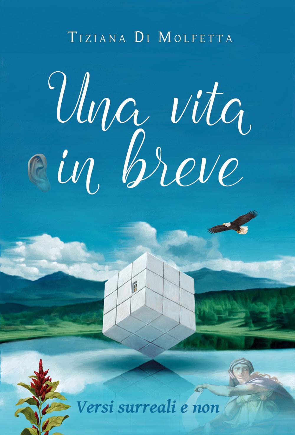 Una vita in breve. Versi surreali e non book
