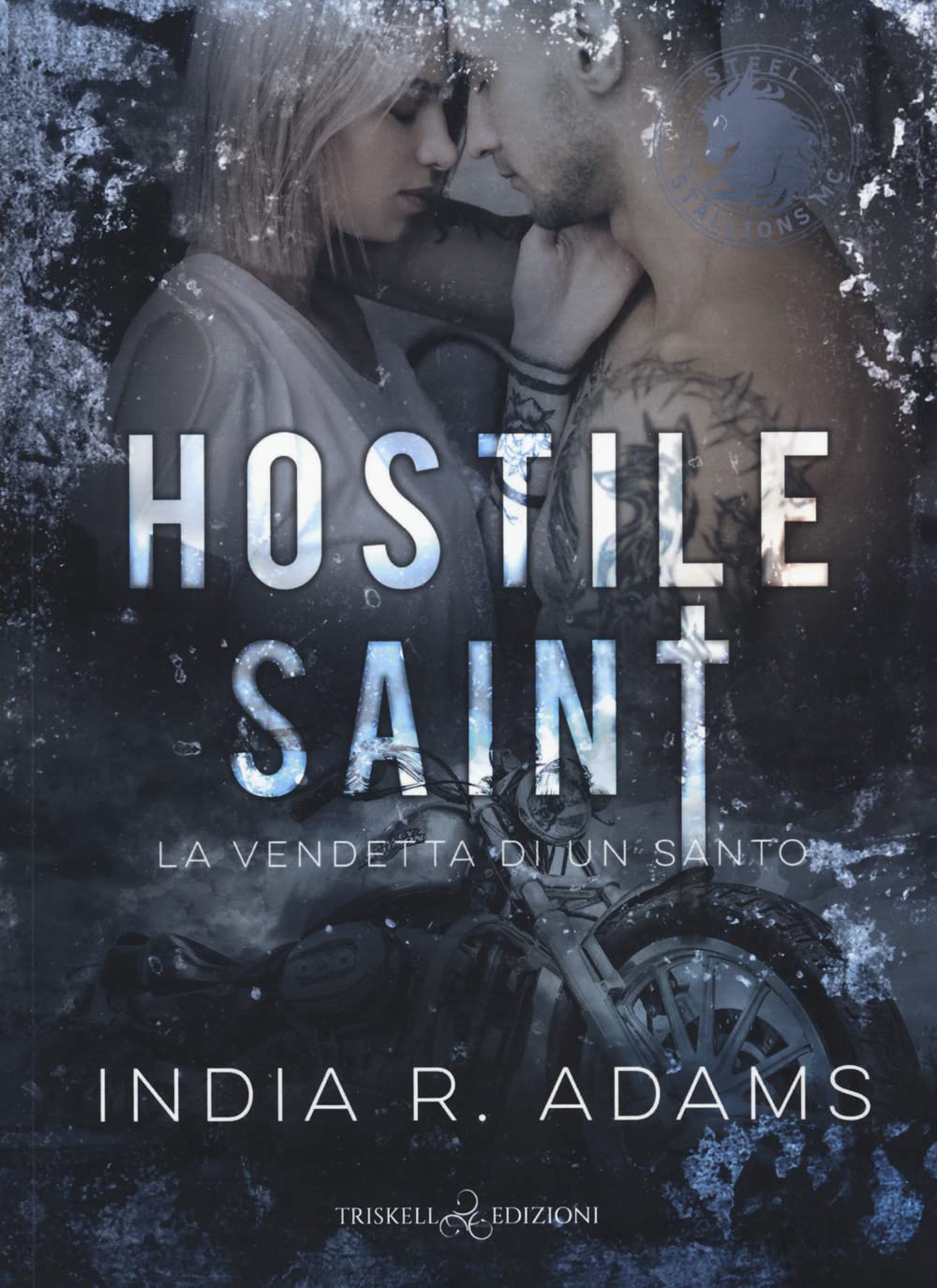 Hostile saint. La vendetta di un santo. Steel stallions (Vol. 1) book