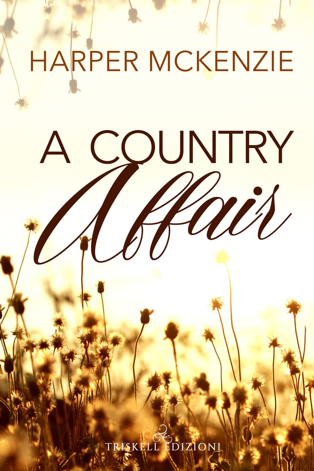 A country affair. Ediz. italiana (Romance) Contemporary literature
