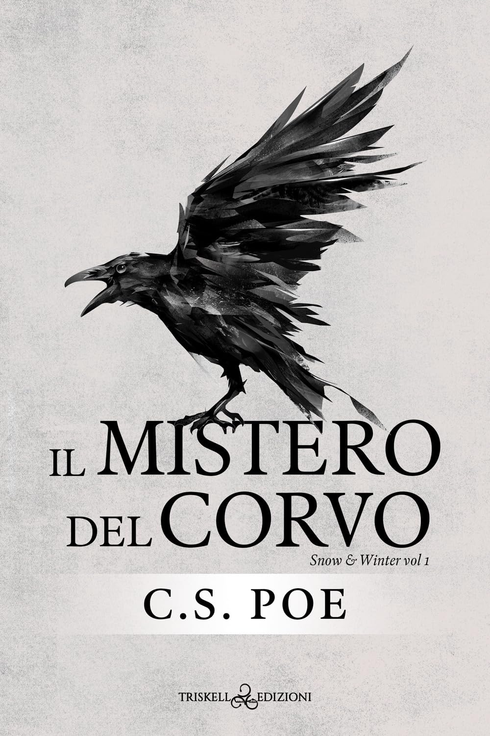 Il mistero del corvo. Snow & Winter (Vol. 1) Contemporary literature