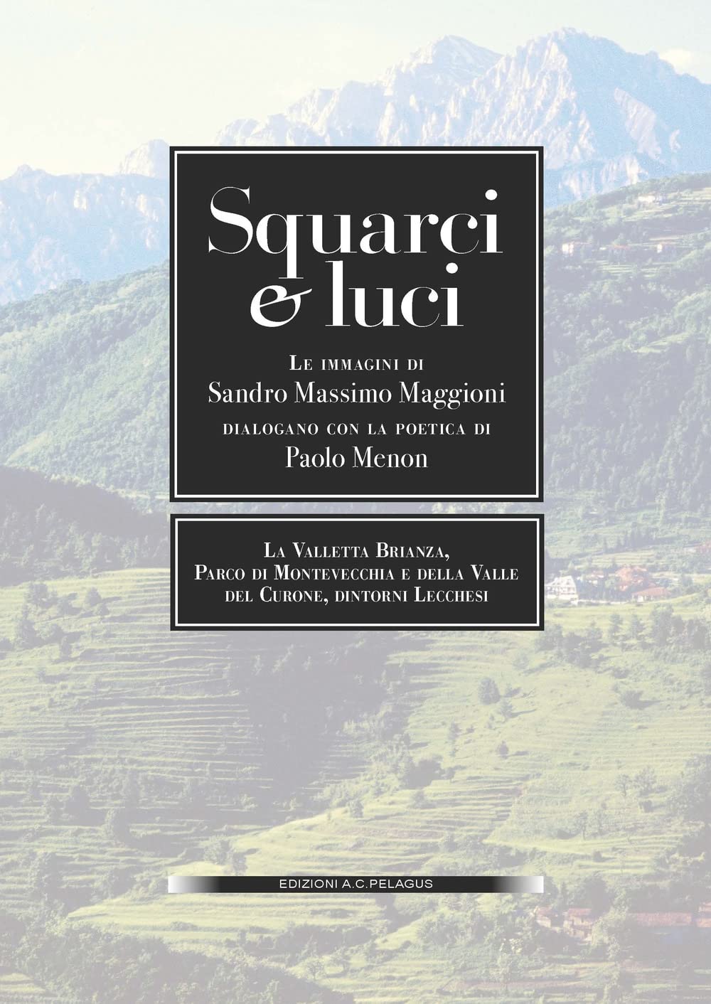 Squarci e voci. Immagini di Sandro Massimo Maggioni dialogano con la poetica di Paolo Menon book