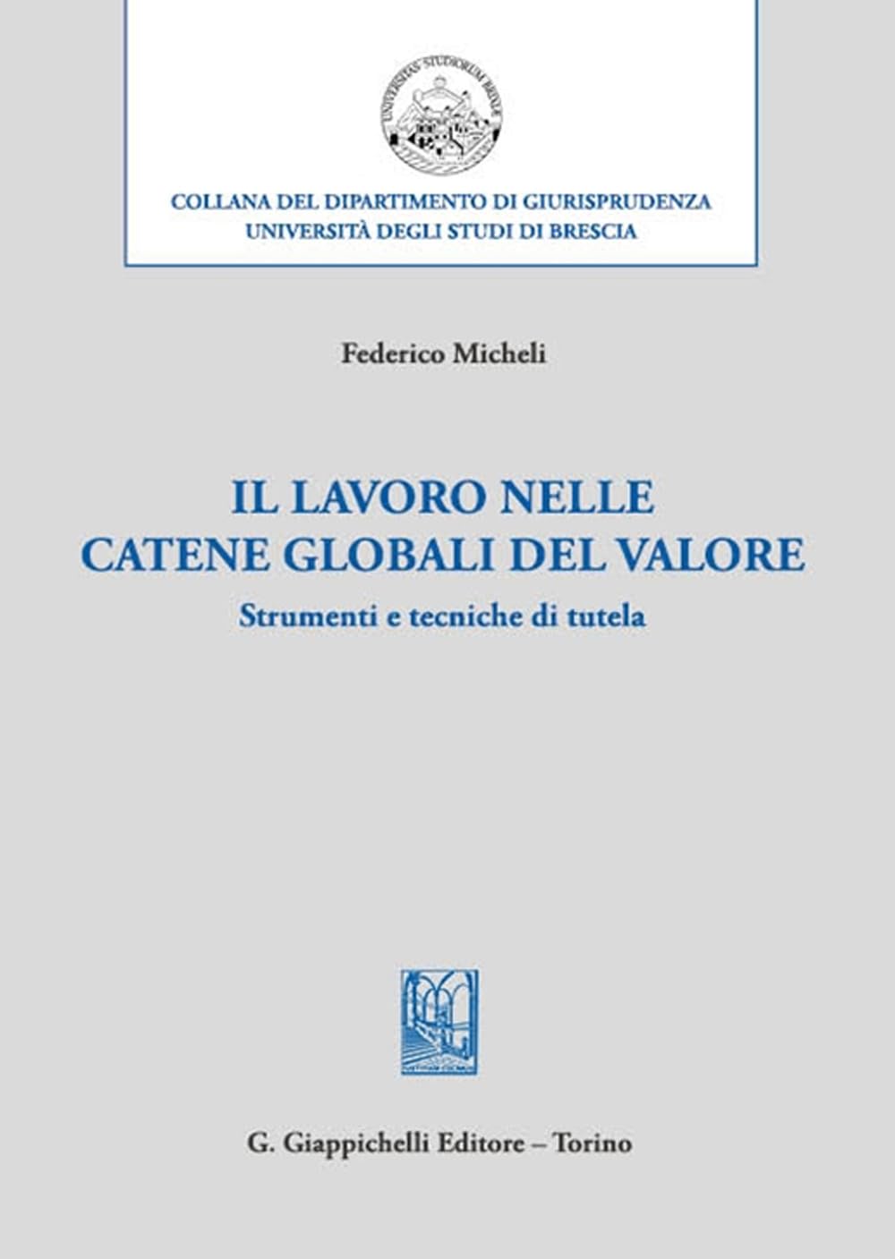 Il lavoro nelle catene globali del valore. Strumenti e tecniche di tutela book