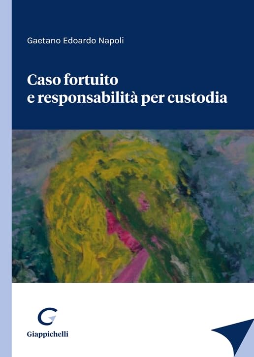 Caso fortuito e responsabilità per custodia Law