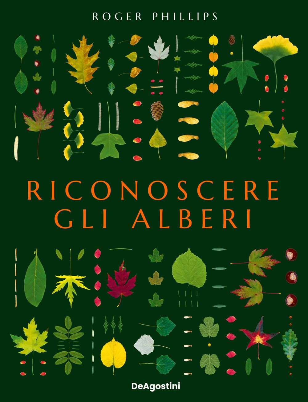Riconoscere gli alberi. Ediz. a colori book