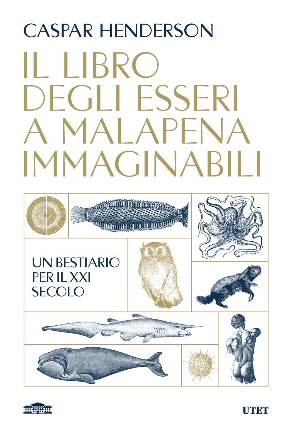 Il libro degli esseri a malapena immaginabili. Un bestiario per il XXI secolo book