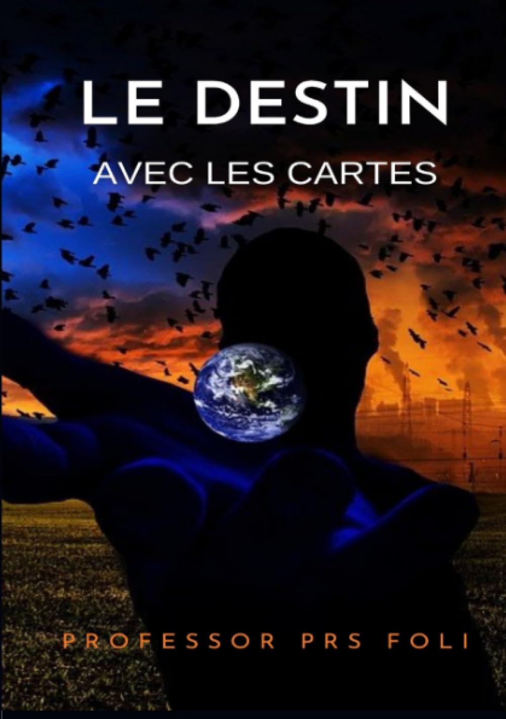 Le destin avec les cartes book