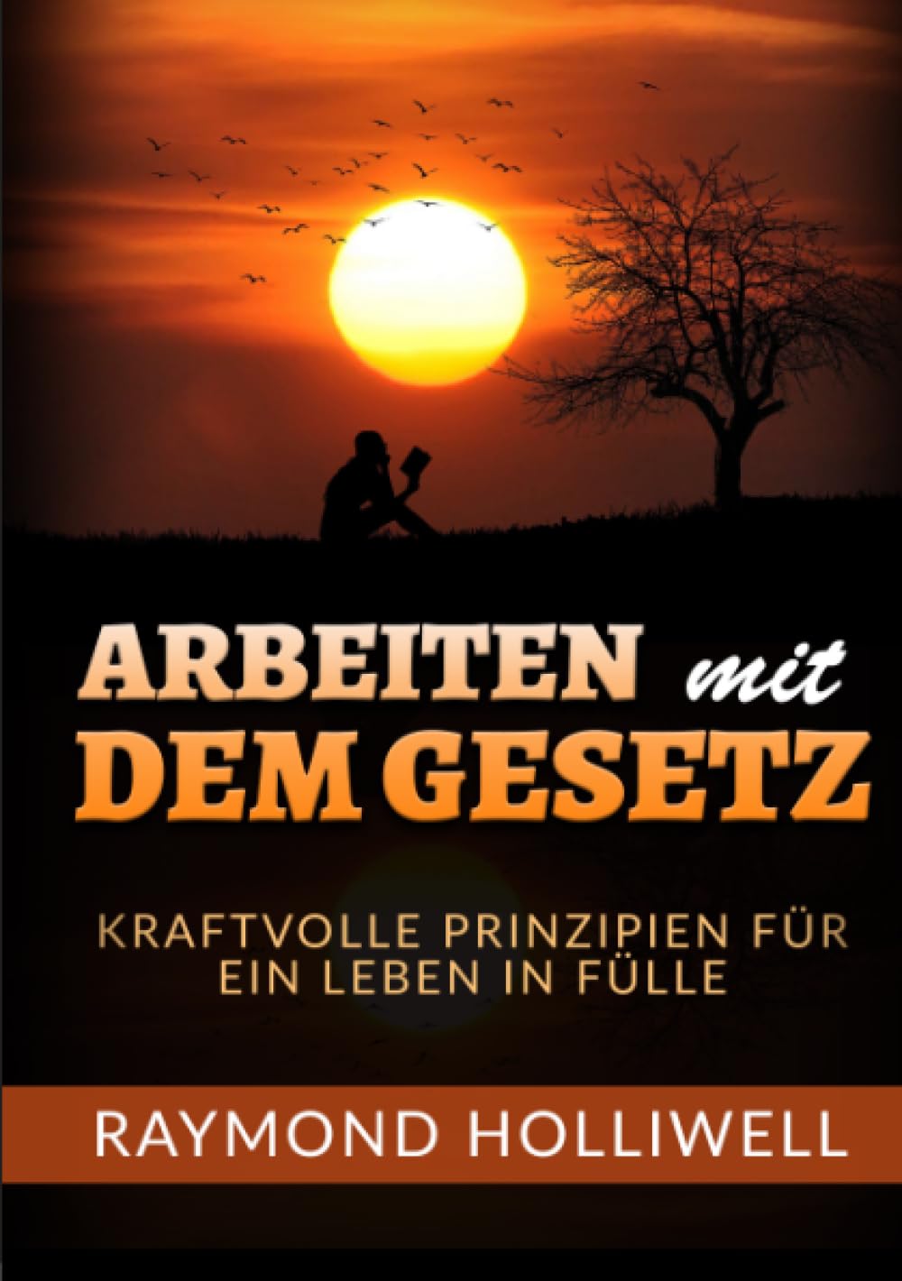 Arbeit mit dem Gesetz: Kraftvolle prinzipien für ein leben in fülle Business, Finance & Career