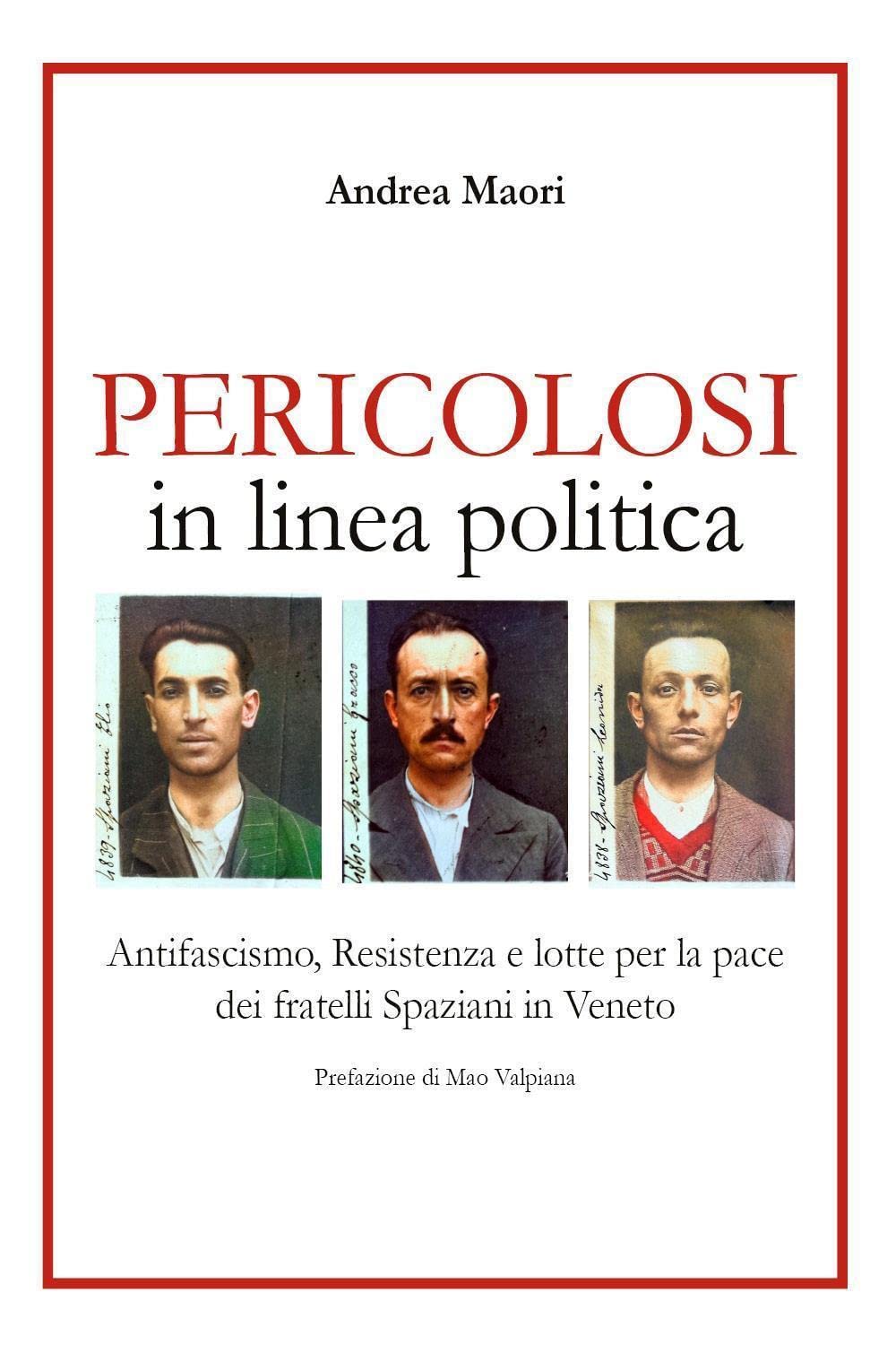 Pericolosi in linea politica book