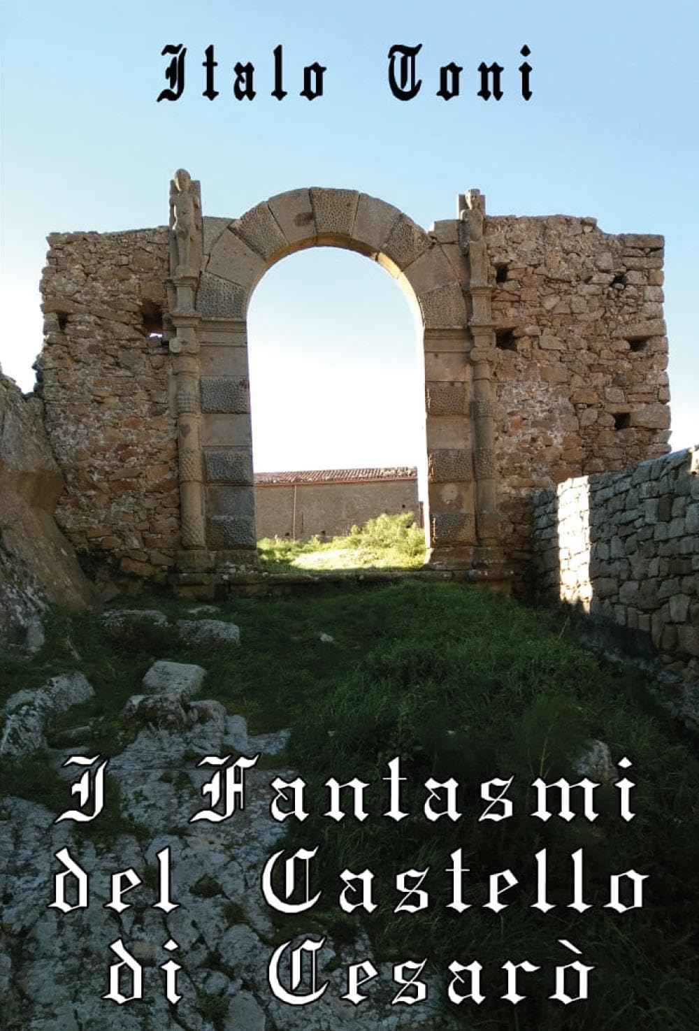 I fantasmi del castello di Cesarò book