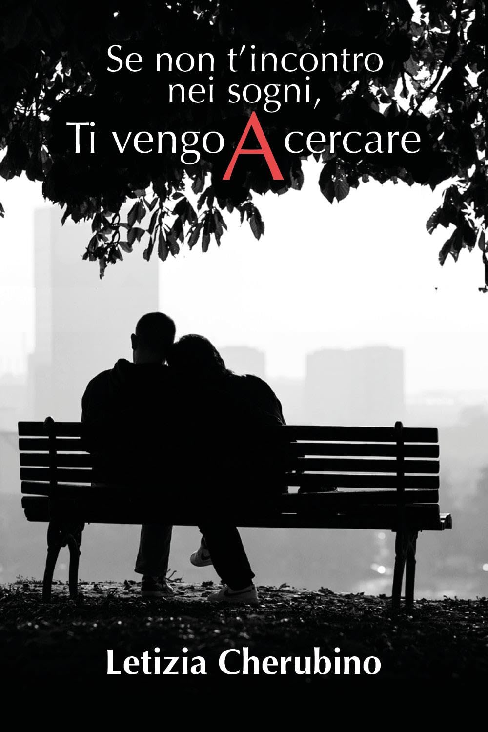 Se non t'incontro nei sogni, ti vengo a cercare Contemporary literature
