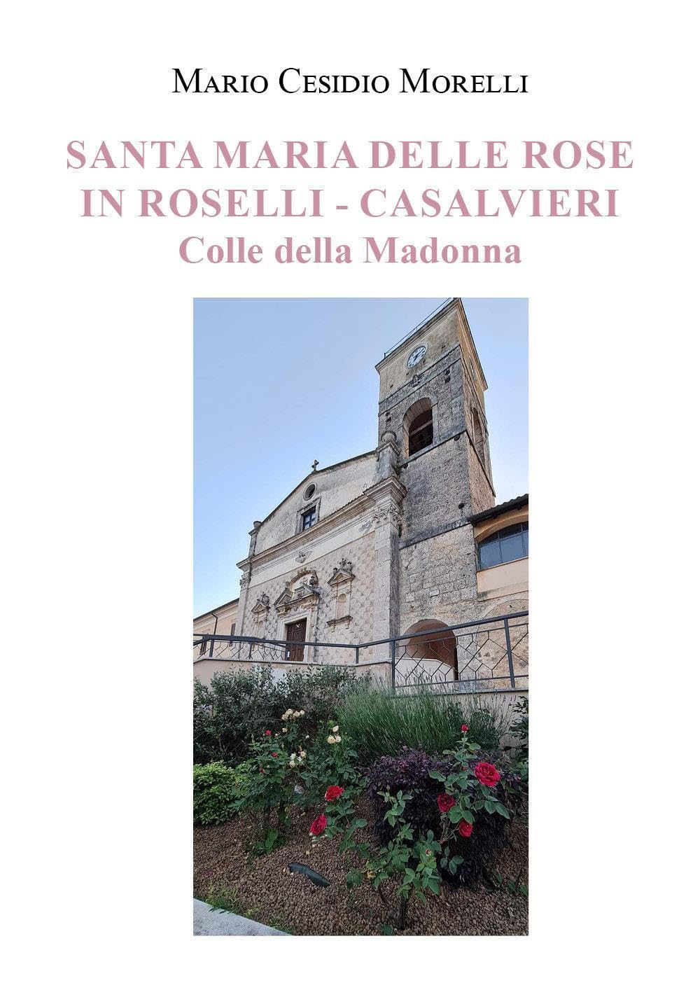 Santa Maria delle Rose in Roselli-Casalvieri. Colle della Madonna book