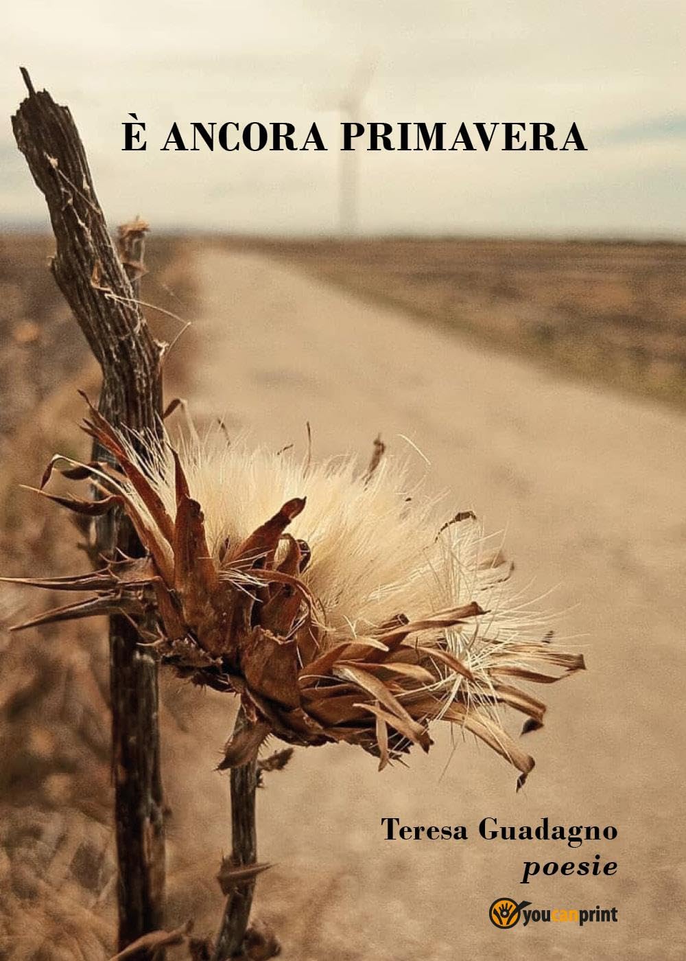 Product Image: È ancora primavera