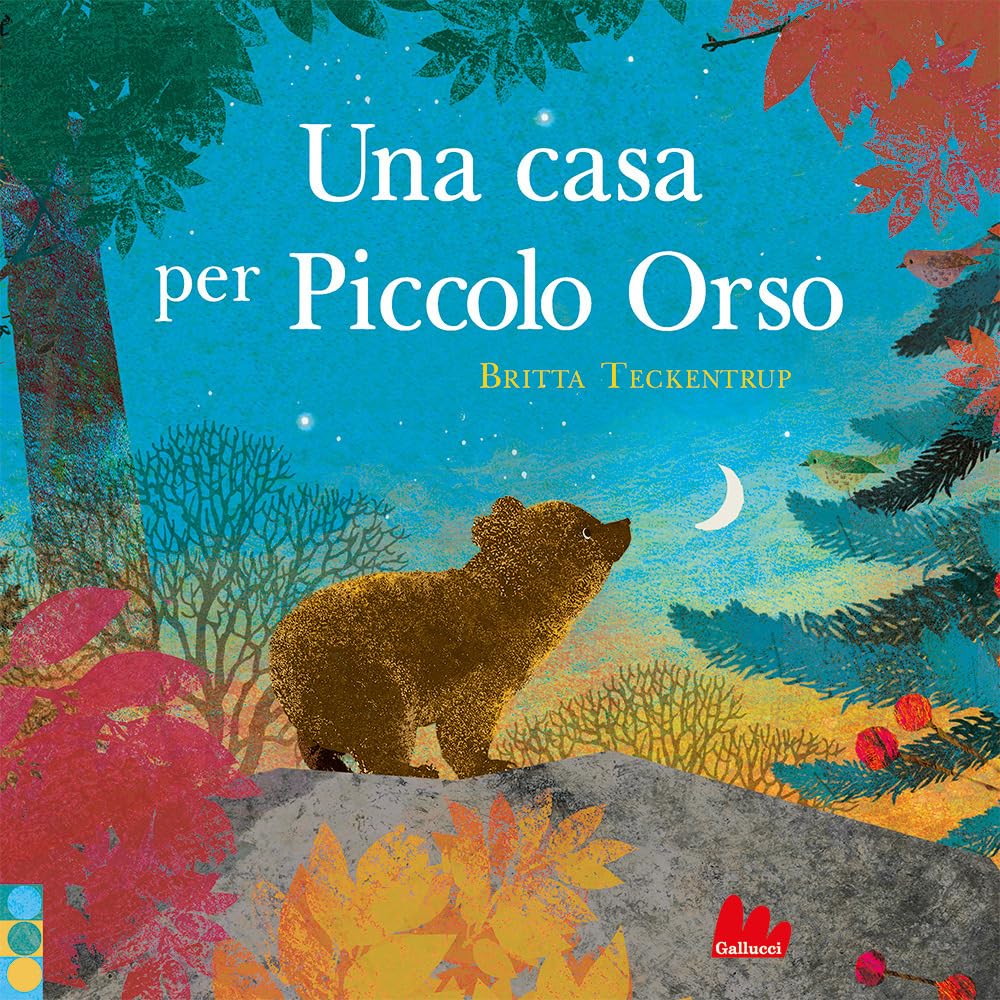 Una casa per piccolo orso. Ediz. a colori book