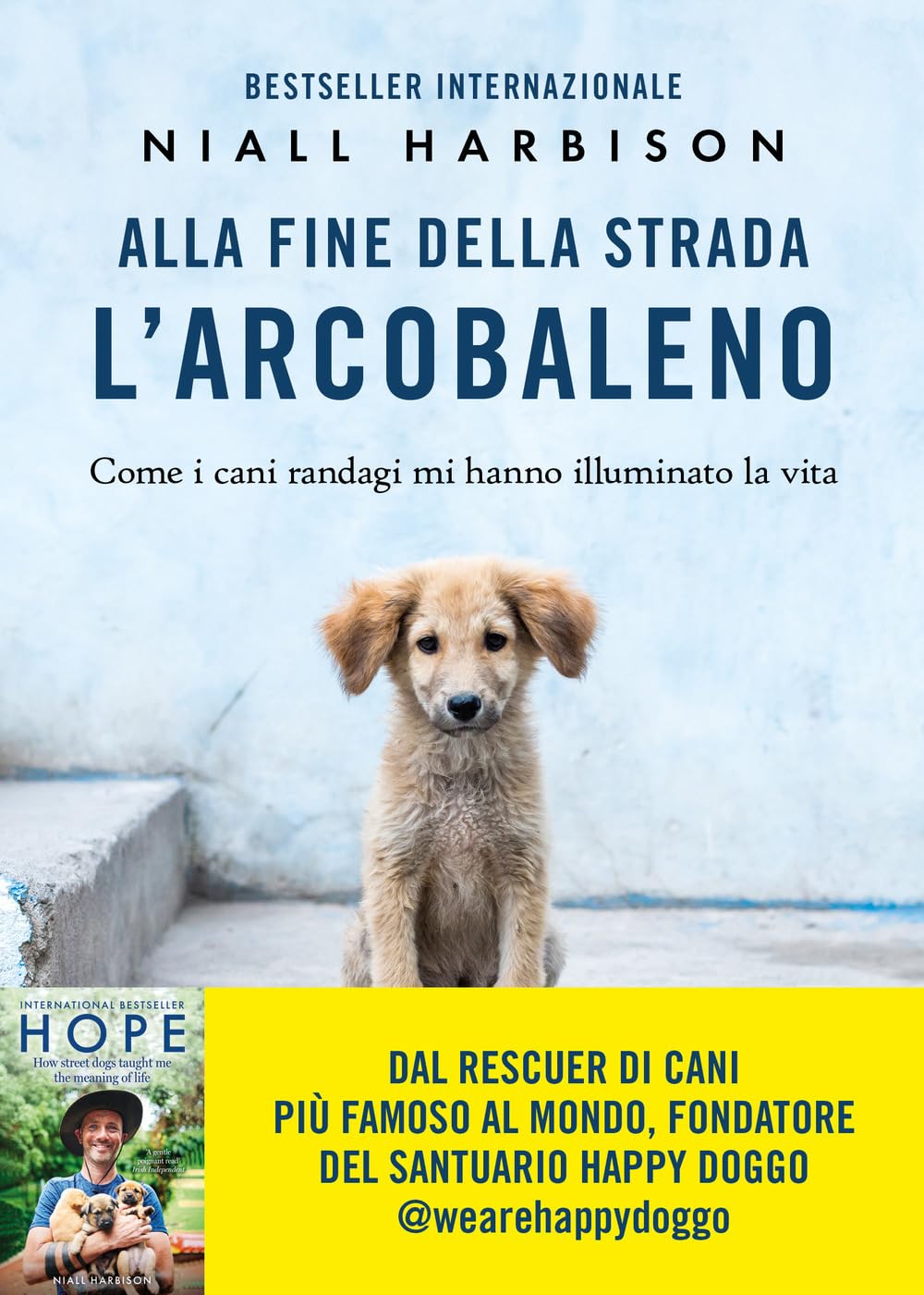 Alla fine della strada l'arcobaleno. Come i cani randagi mi hanno illuminato la vita book