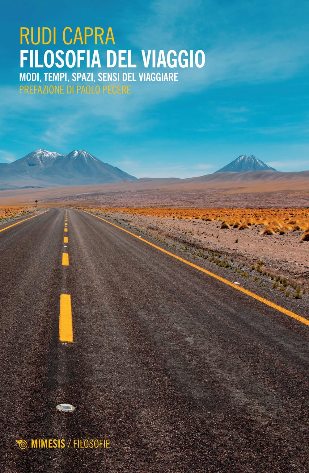 Filosofia del viaggio. Modi, tempi, spazi, sensi del viaggiare book
