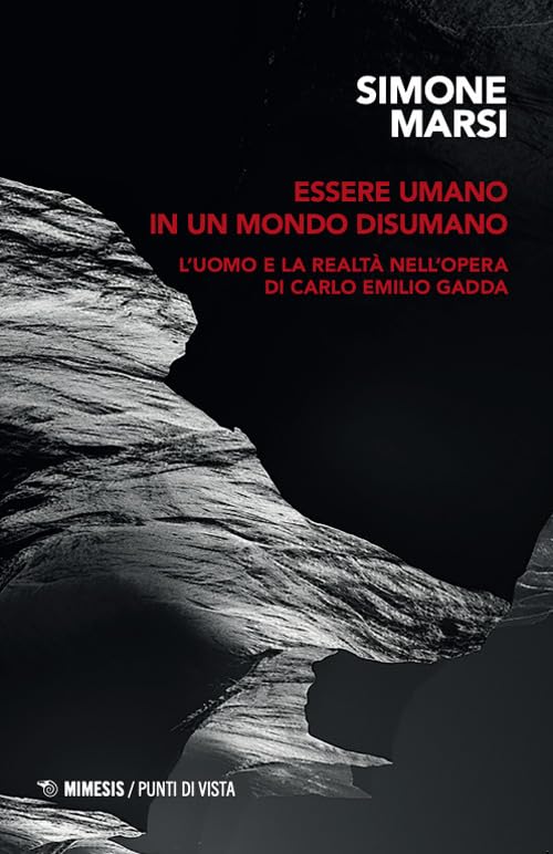Essere umano in un mondo disumano. L'uomo e la realtà nell'opera di Carlo Emilio Gadda book