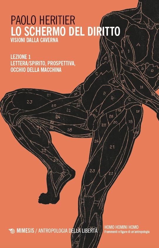 Lo schermo del diritto. Lettera/spirito, prospettiva, occhio della macchina (Vol. 1) book