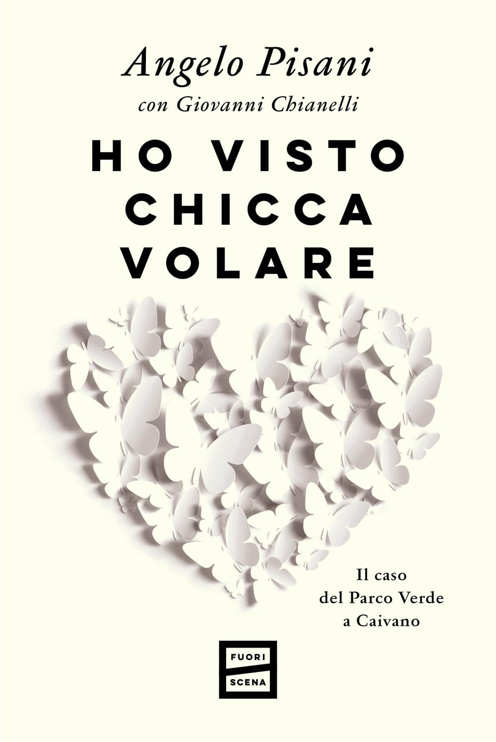 Ho visto Chicca volare. Il caso del Parco Verde a Caivano book