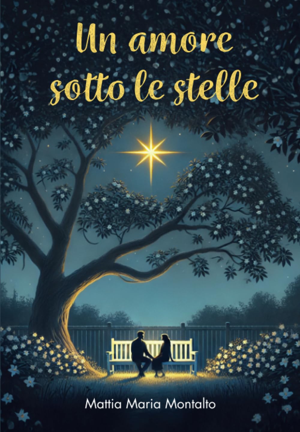 Un amore sotto le stelle book