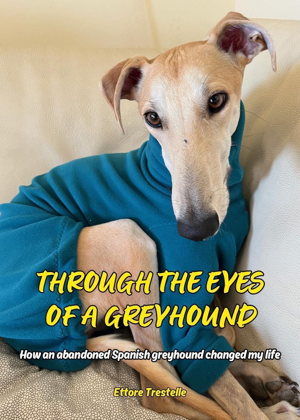 Through the Eyes of a Greyhound book