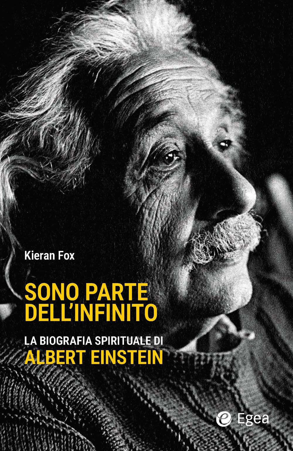 Sono parte dell'infinito. La biografia spirituale di Albert Einstein book