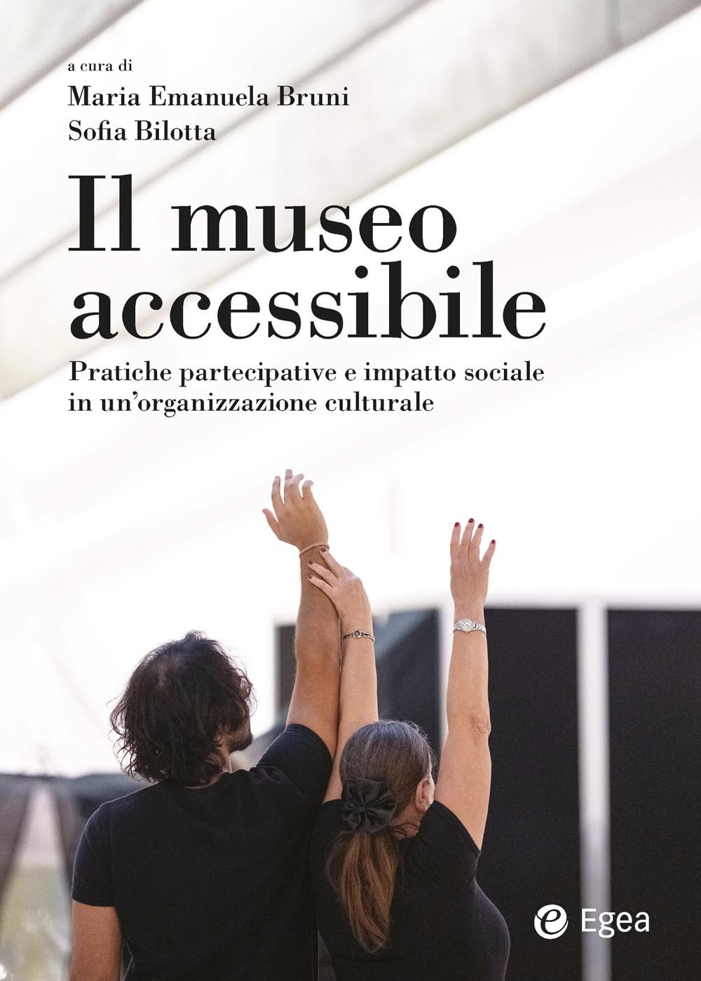Il museo accessibile. Pratiche partecipative e impatto sociale in un'organizzazione culturale (Reference) Books
