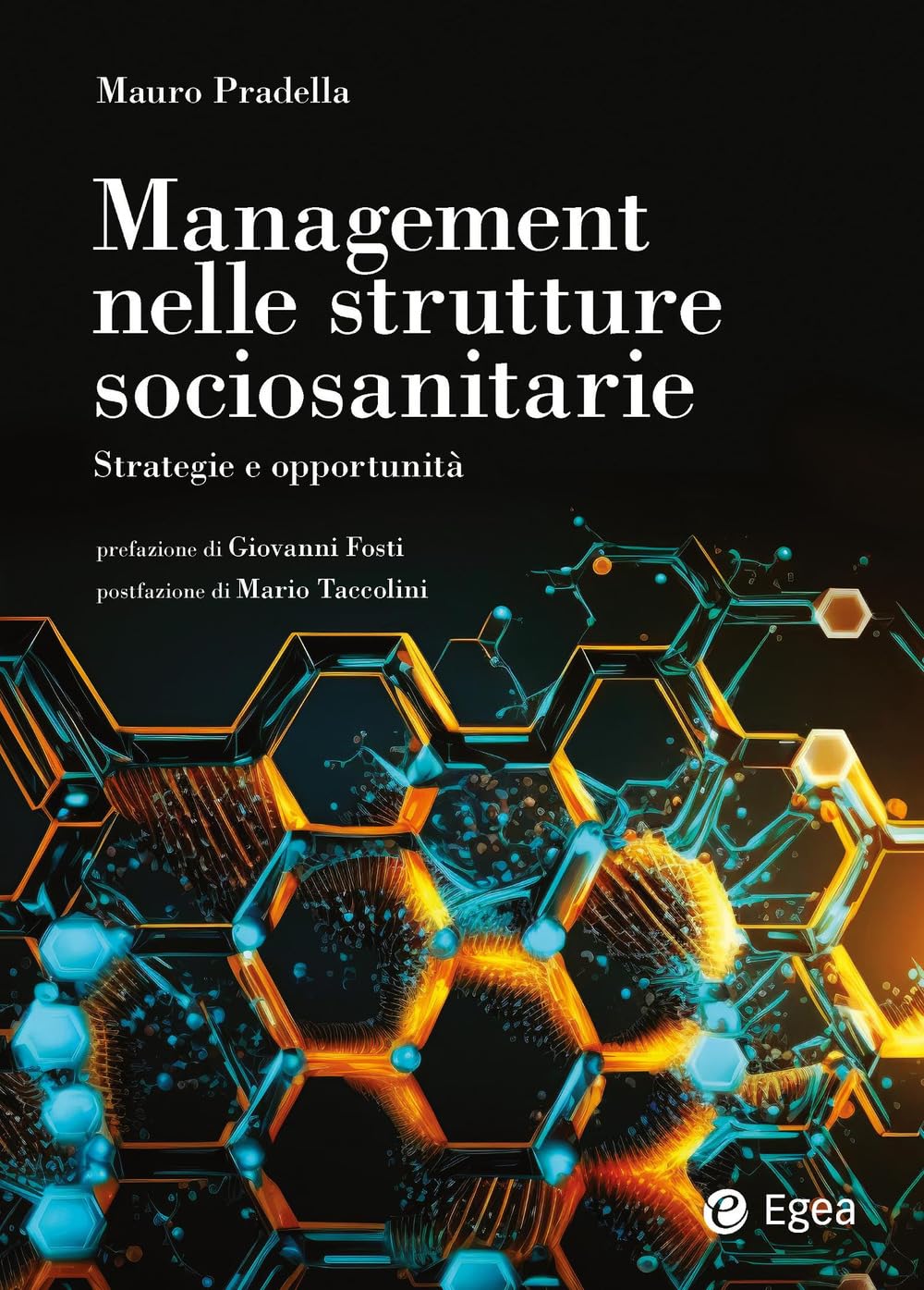 Management nelle strutture sociosanitarie book