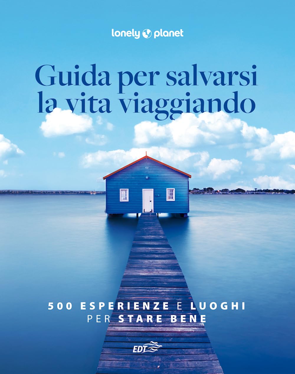 Guida per salvarsi la vita viaggiando. 500 esperienze e luoghi per stare bene book