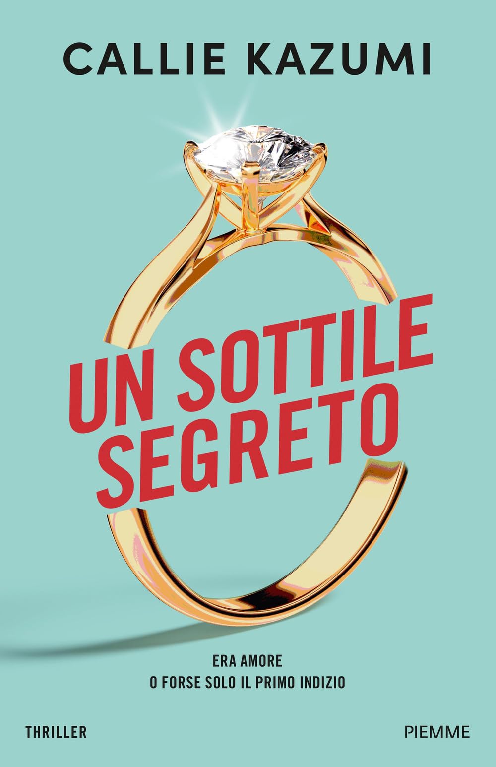 Un sottile segreto (Thriller) Contemporary literature