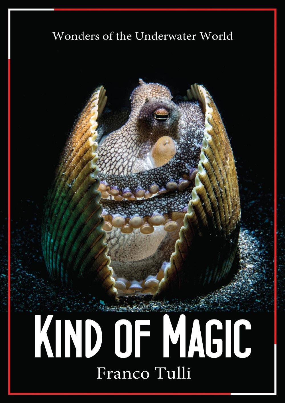 Kind of Magic. Wonders of the underwater world Photography