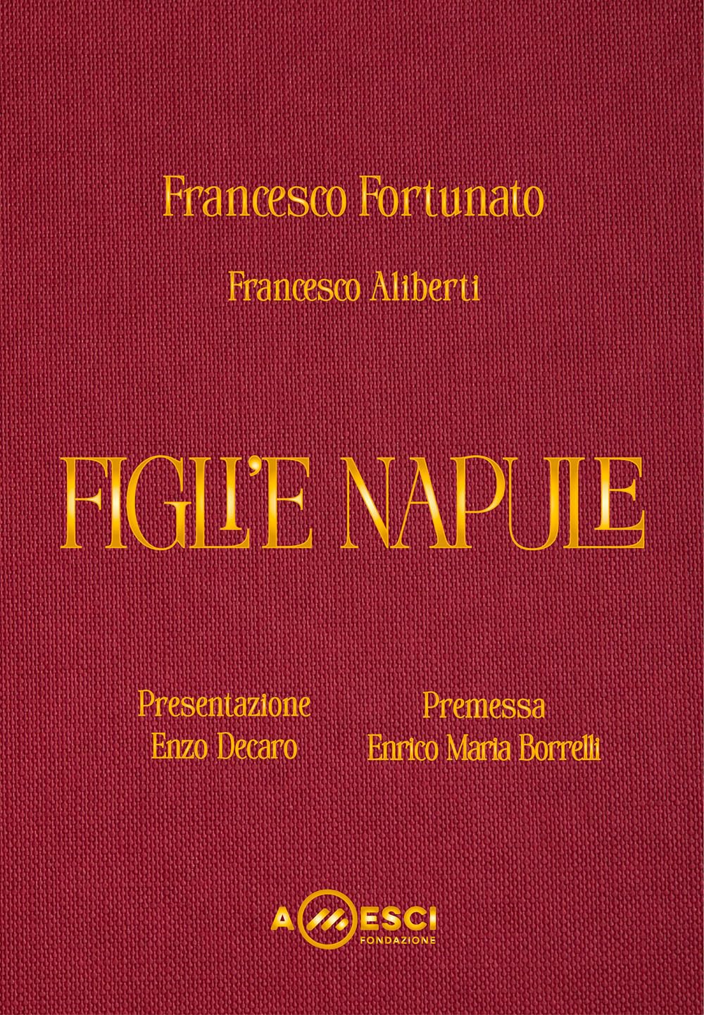 Figli'e Napule. Viaggio grafico-musicale tra realtà e spettacolo sui Figli di Partenope. Ediz. illustrata. Con 54 tracce audio book