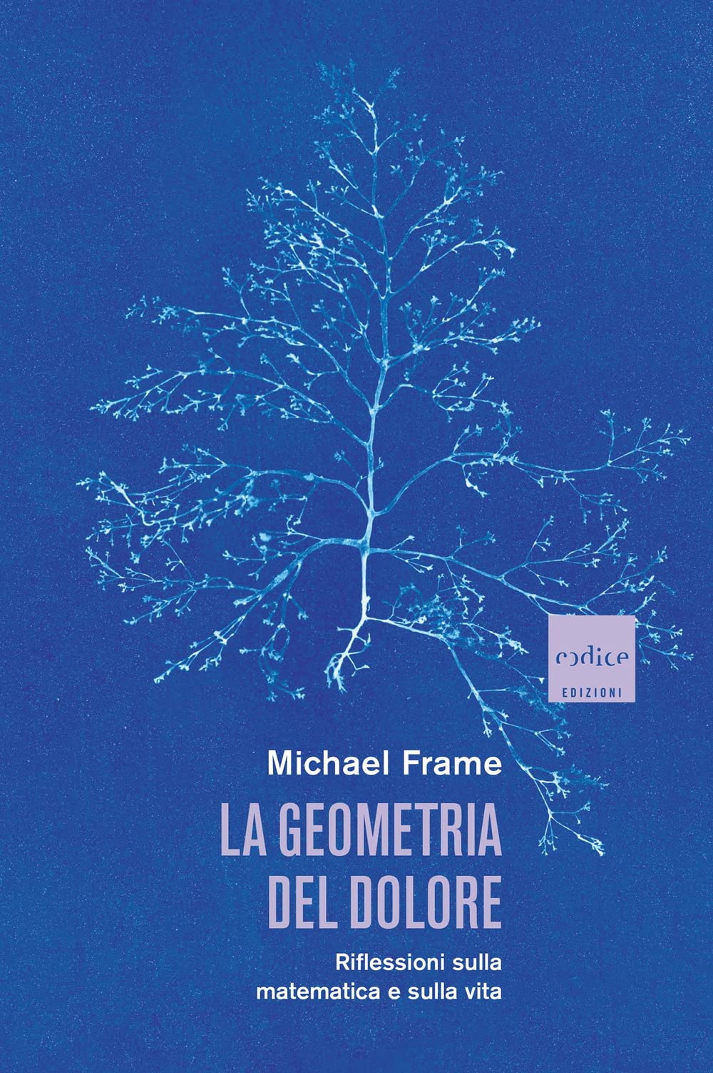 La geometria del dolore. Riflessioni sulla matematica e sulla vita Mathematics