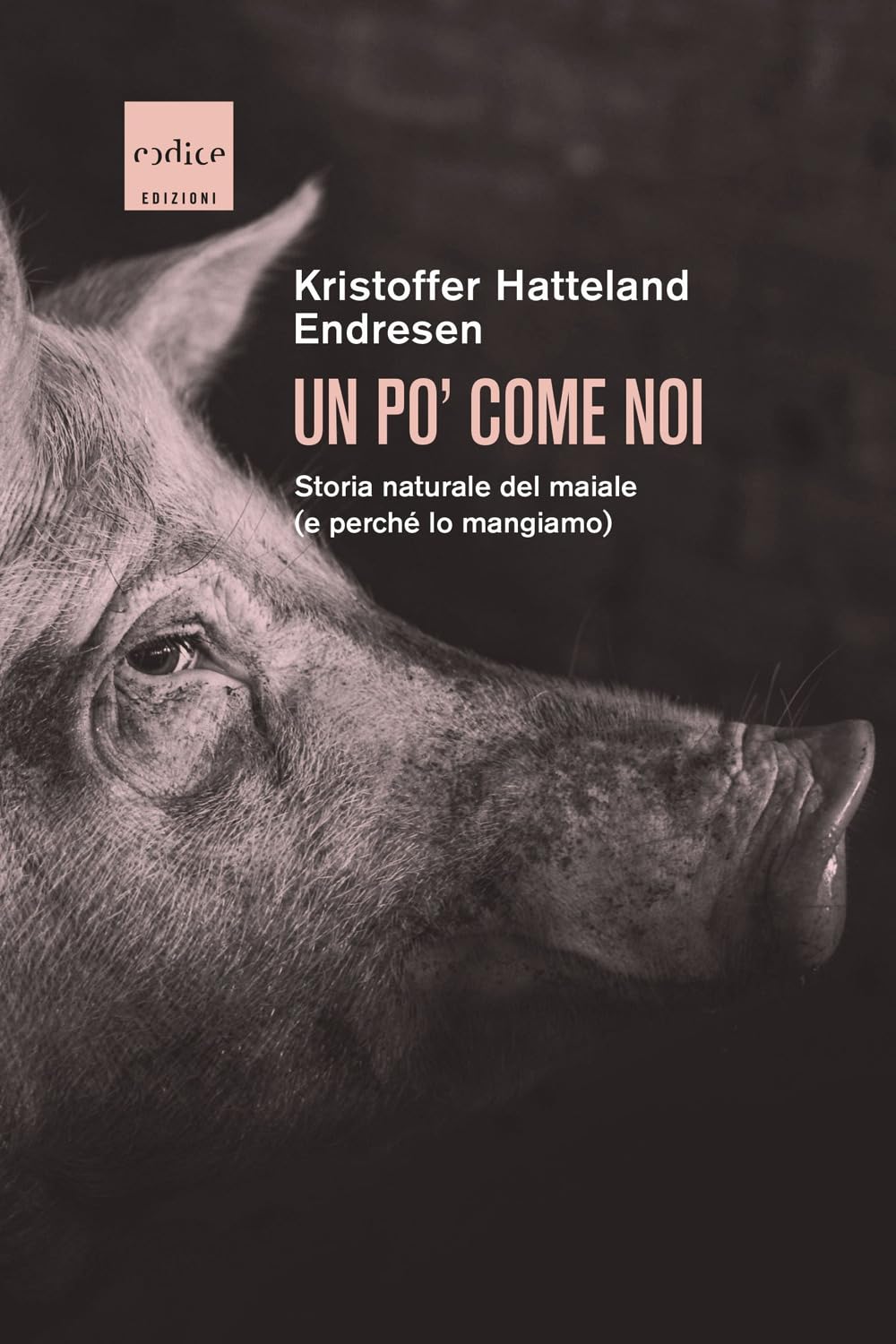 Un po' come noi. Storia naturale del maiale (e perché lo mangiamo) book