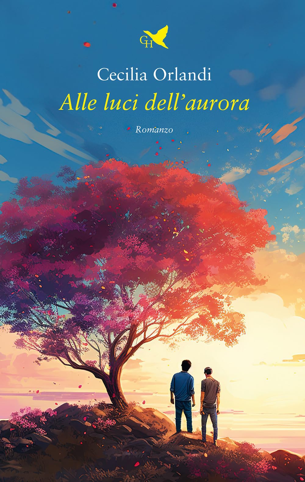 Alle luci dell'aurora book