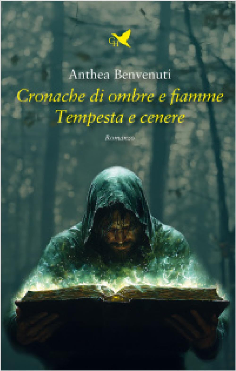 Cronache di ombre e fiamme. Tempesta e cenere book
