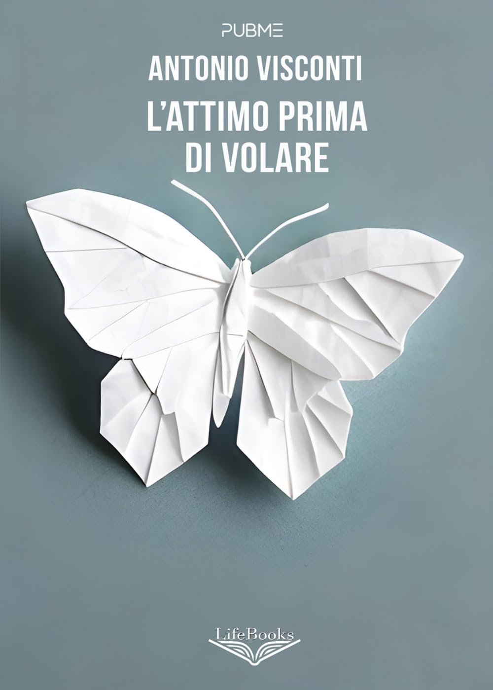 L'attimo prima di volare: (Collana Lifebooks) book