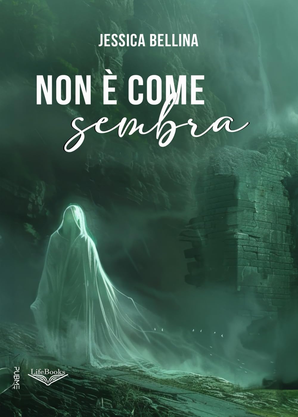 Non è come sembra: (Collana Lifebooks - PubMe) book