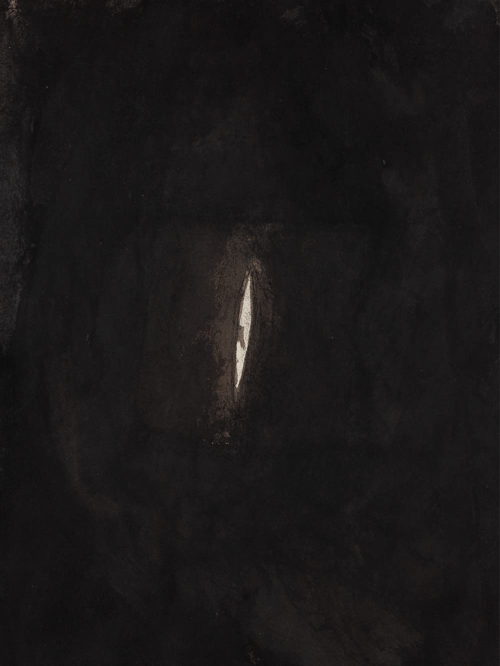 Anish Kapoor. Ediz. italiana Film, Art & Culture