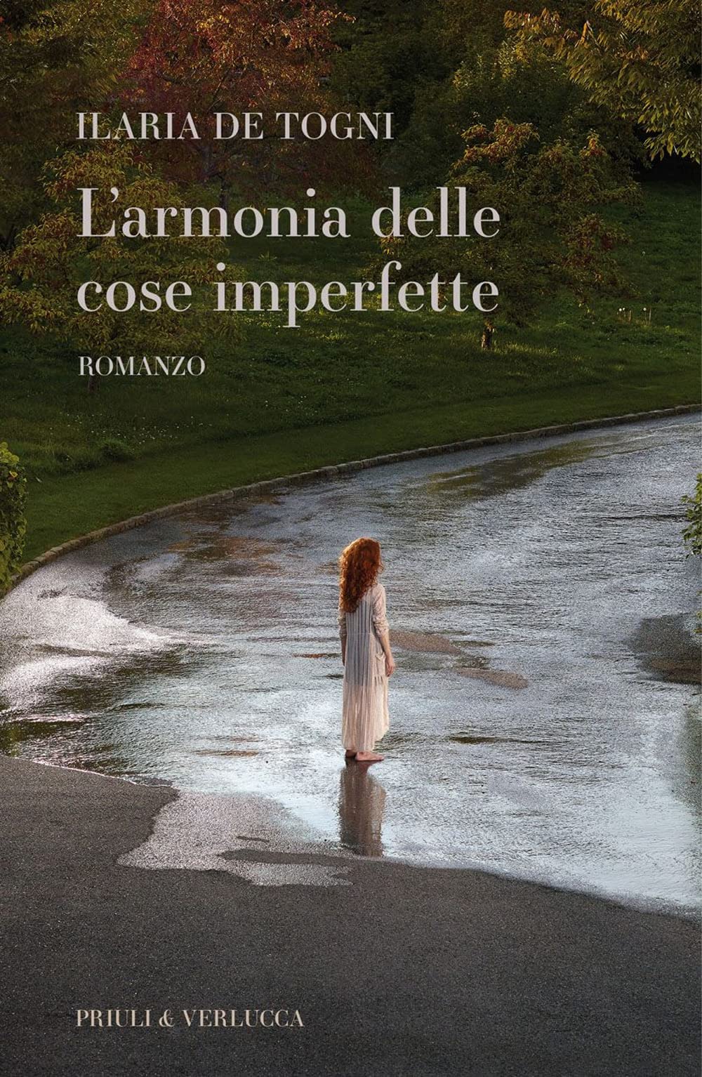 L'armonia delle cose imperfette book