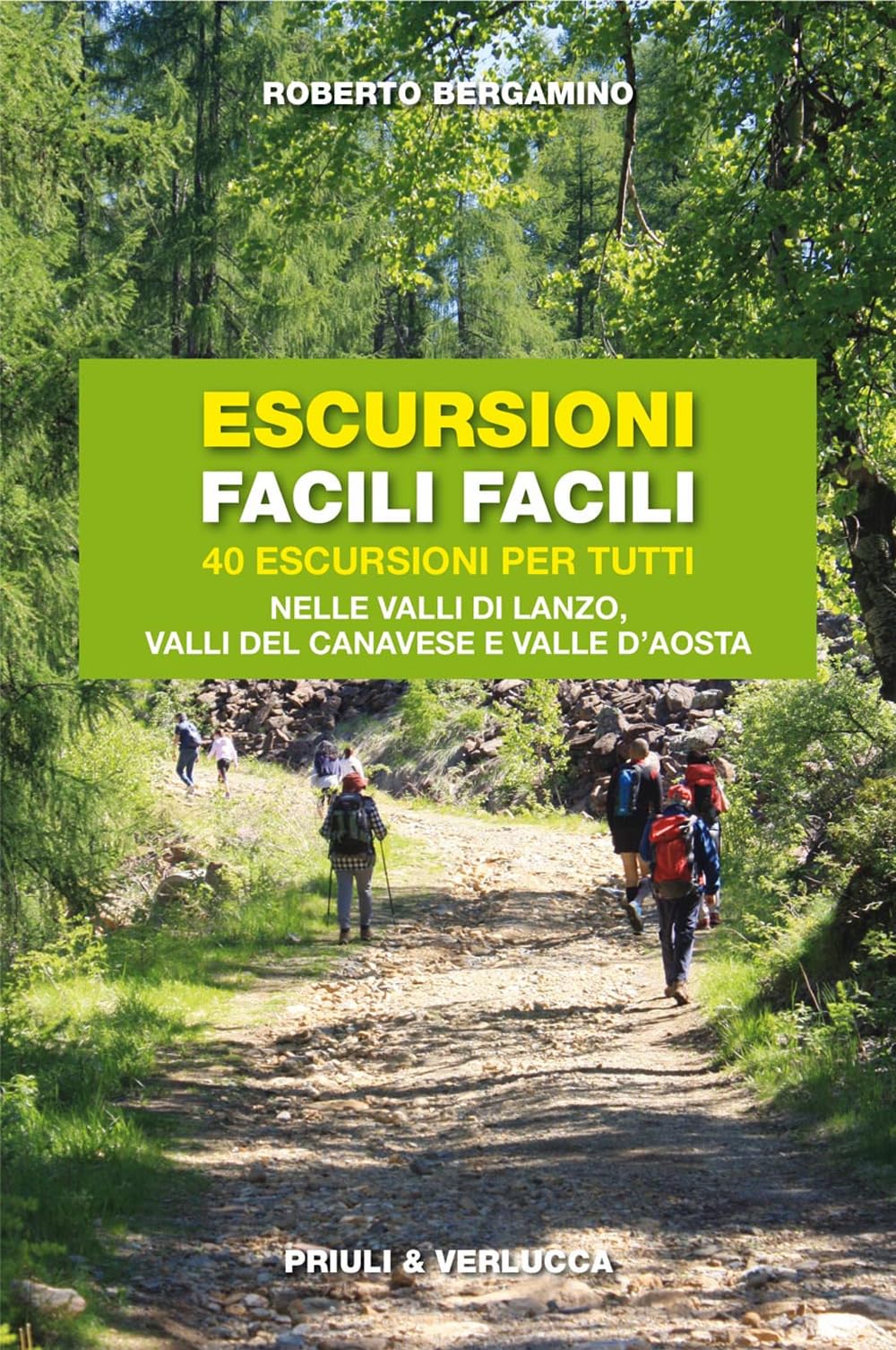 Escursioni facili facili. 40 escursioni per tutti nelle valli di Lanzo, valli del Canavese e Valle d'Aosta (Guide e manuali) Leisure, Home & Garden
