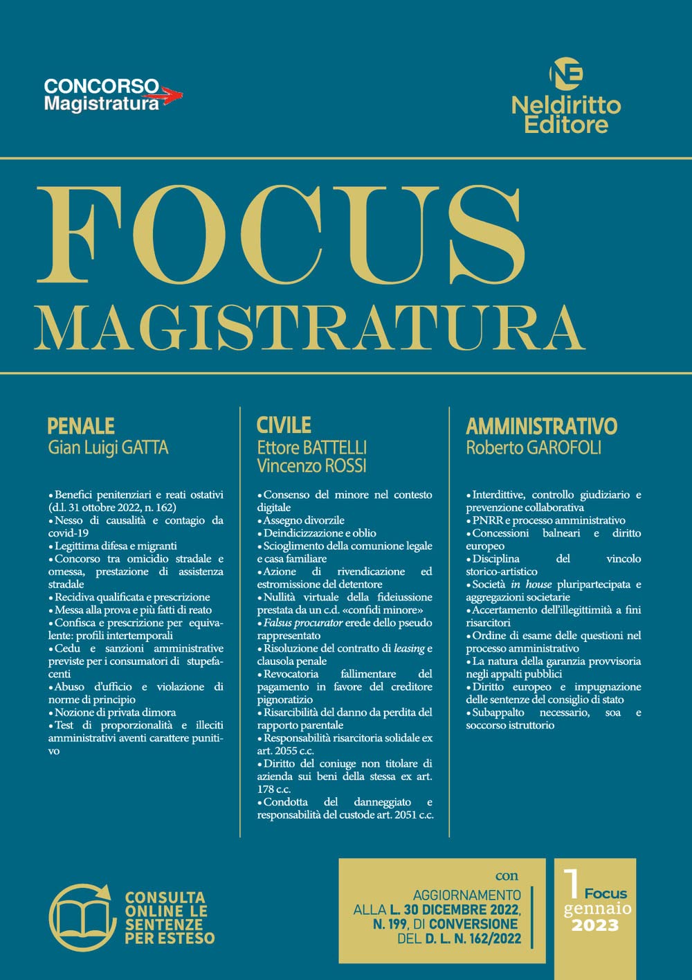 Focus magistratura. Concorso magistratura 2023: Penale, civile, amministrativo (Vol. 1) book