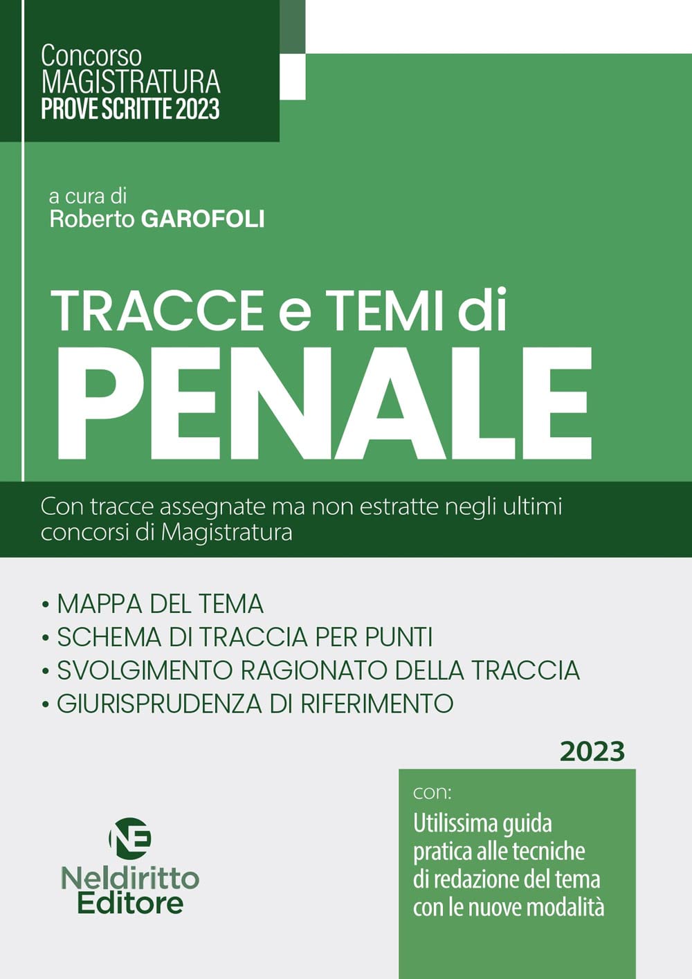 Tracce e temi di penale per il concorso in magistratura 2023 book