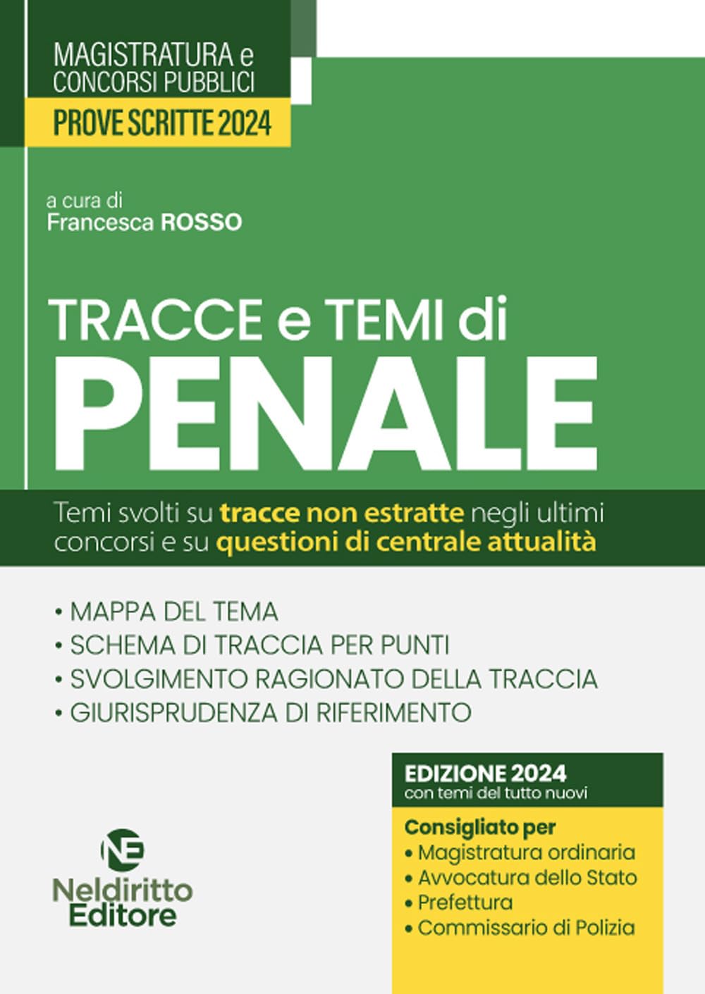 Temi e tracce di penale per il concorso in magistratura 2024 book