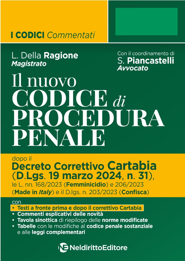 Nuovo codice di procedura penale dopo il Decreto Correttivo Cartabia book